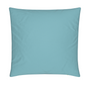 Matching Cushion - Aqua