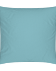 Matching Cushion - Aqua SALE - Amanda Heath Art