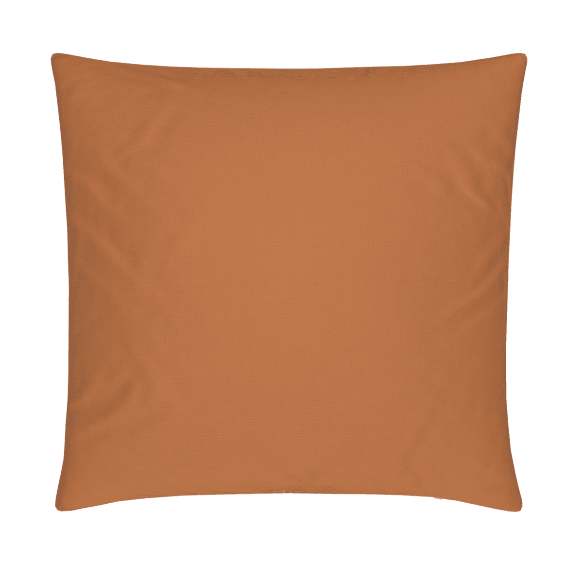 Matching Cushion - Rust - Amanda Heath Art
